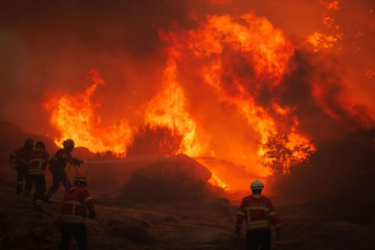 Até 16 de agosto arderam 139 mil hectares no país, 17 vezes mais do que no mesmo período de 2024