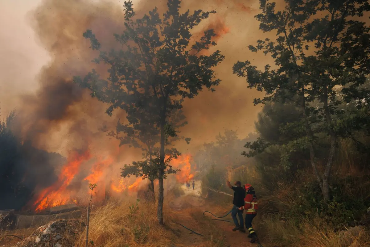 Imagem de contexto do artigo Fogo na Sertã em zona de pinhal combatido por 250 bombeiros