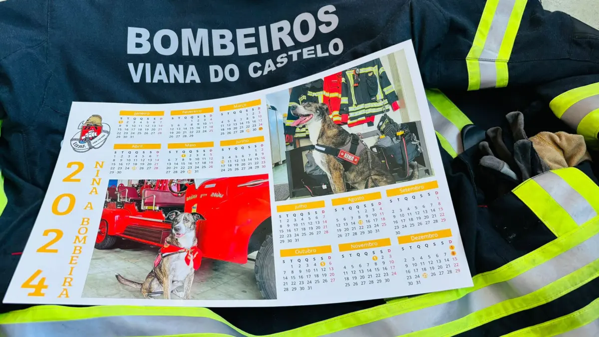 A campanha de Natal da cadela Nina já se realiza desde 2017