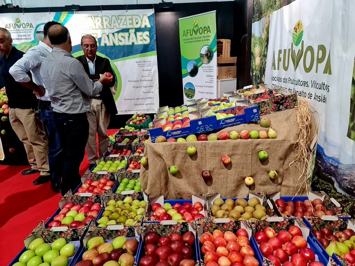 Maçã, vinho e azeite são reis da feira que abriu esta sexta-feira