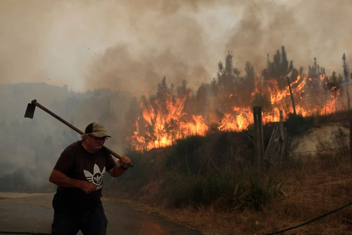 Imagem de contexto do artigo Fogos de Castro Daire, Arouca e São Pedro do Sul estão dominados