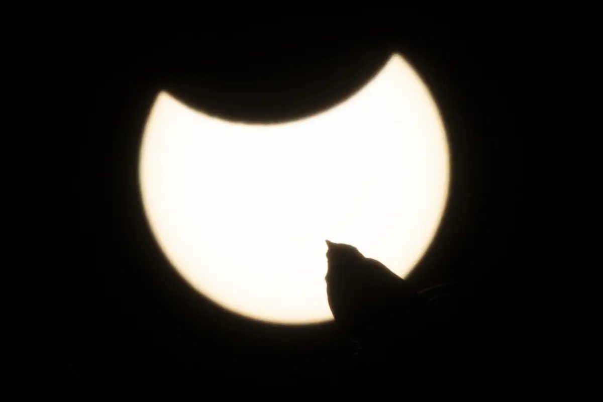 Imagem de contexto do artigo A lua cobriu o sol: as imagens do eclipse solar parcial dos Açores até Londres