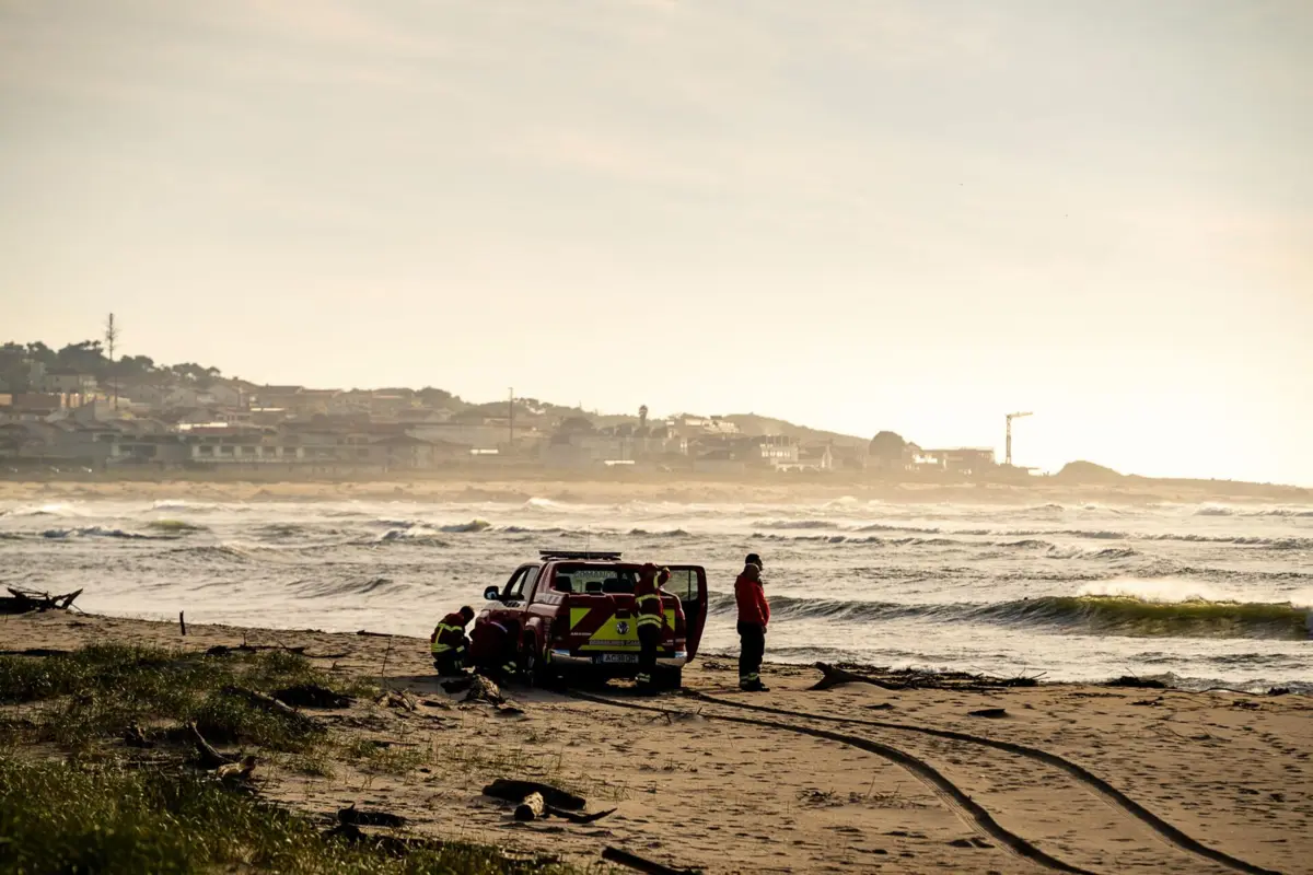 Vários meios participam nas buscas