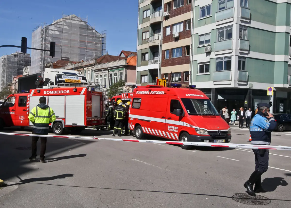 Indemnizações por atropelamentos com fuga chegam aos três milhões de euros