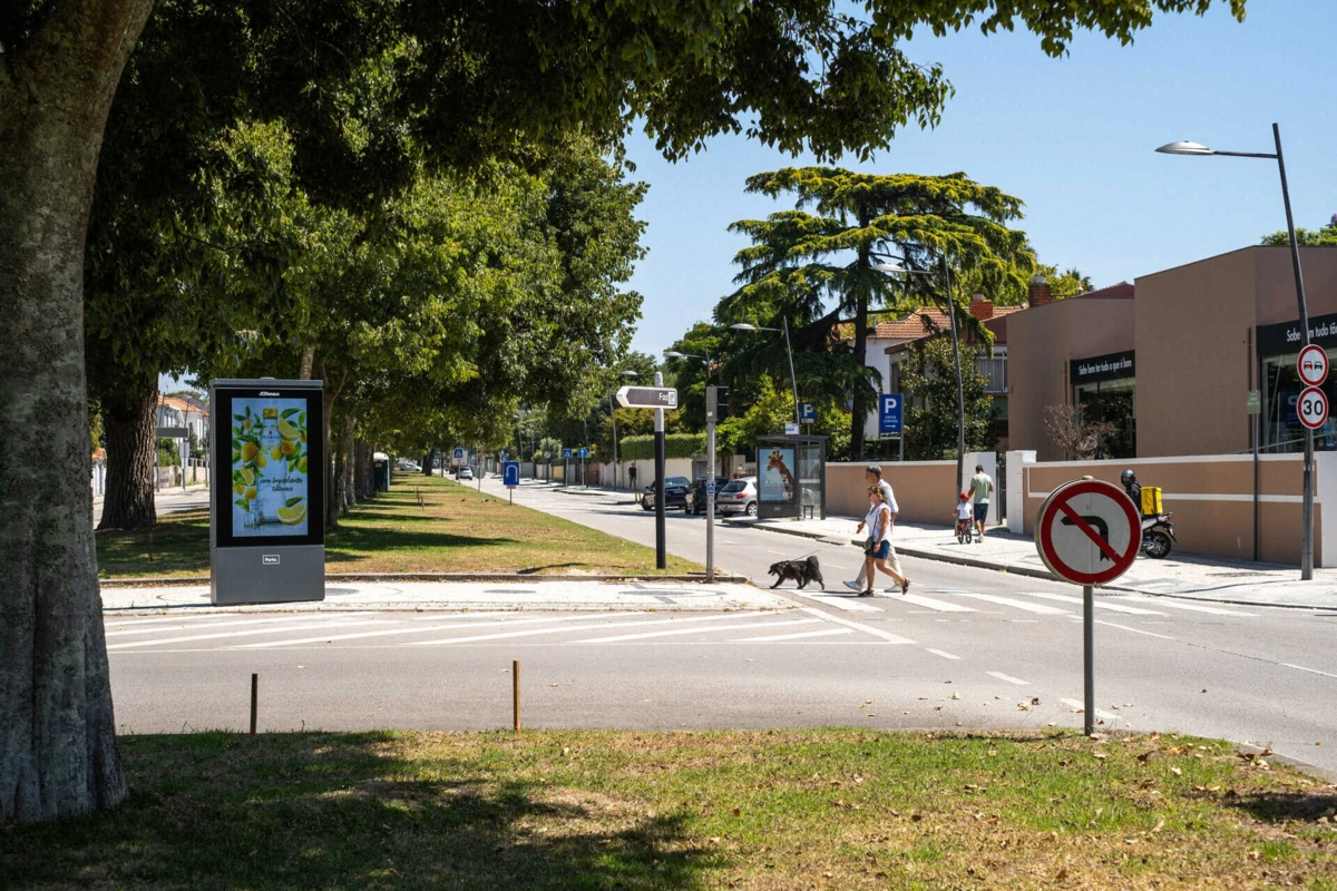 Imagem de contexto do artigo Dez árvores abatidas no eixo da Marechal no âmbito das obras do metrobus
