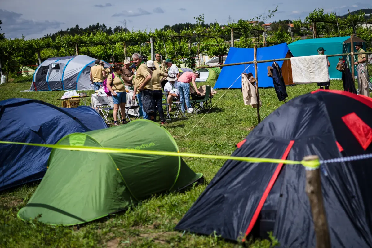 Guia foi enviado a todos os agrupamentos de escuteiros