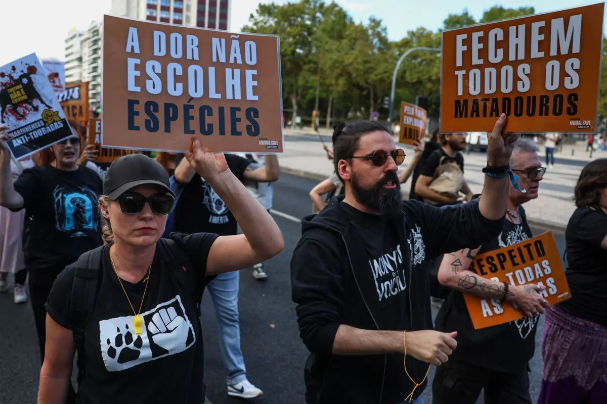 Imagem de contexto do artigo Uma centena marcha em Lisboa pelos direitos de "todos os animais"