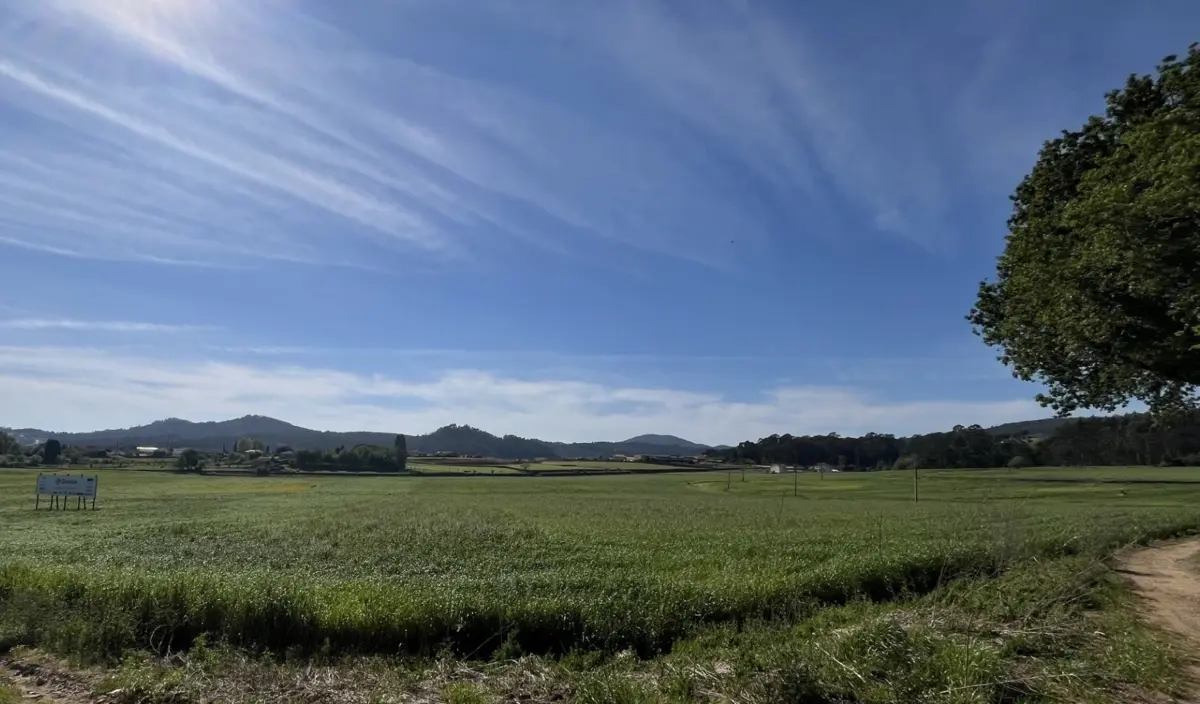 Terreno que vai acolher o novo hospital de Barcelos