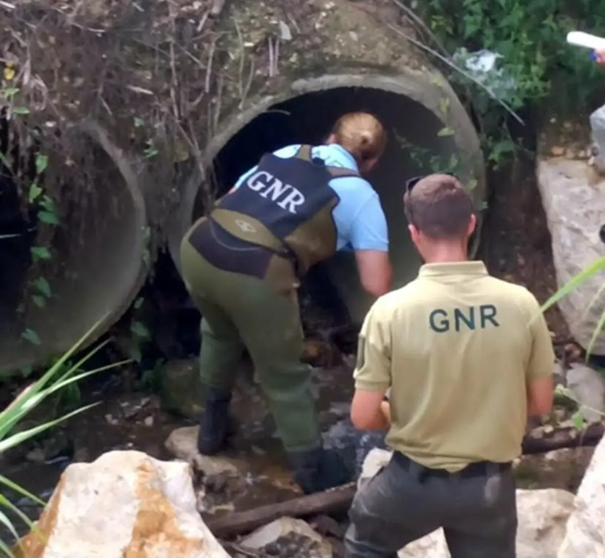 SEPNA intervém em casos de infrações ambientais