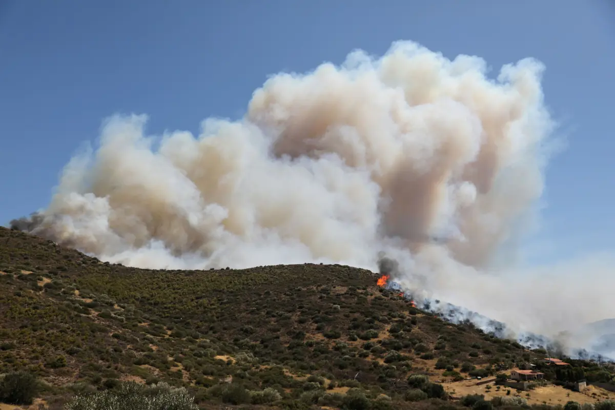 Nas últimas 24 horas foram registados cerca de 50 incêndios florestais na Grécia
