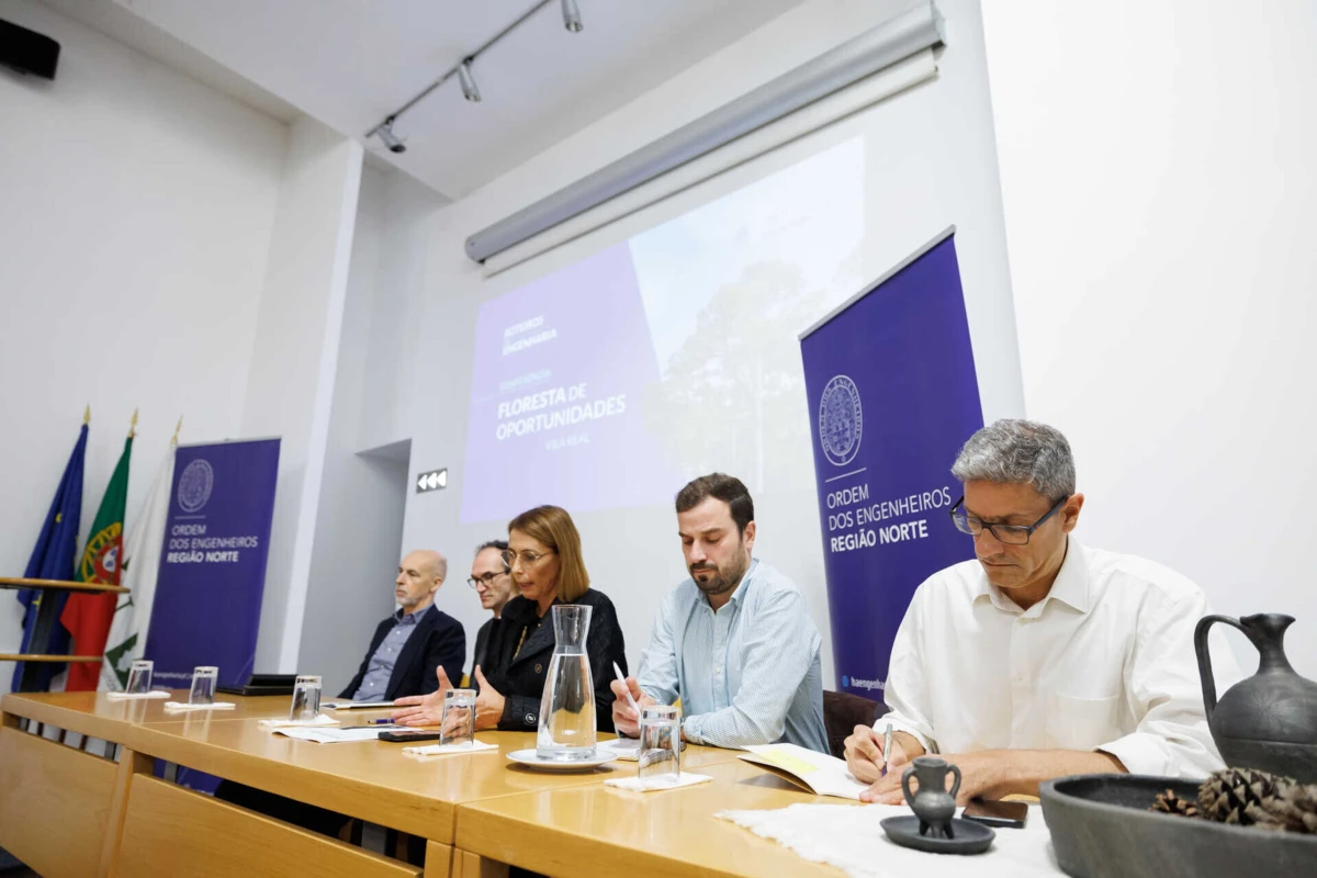 Imagem de contexto do artigo Mais engenharia  na floresta para resolver problemas