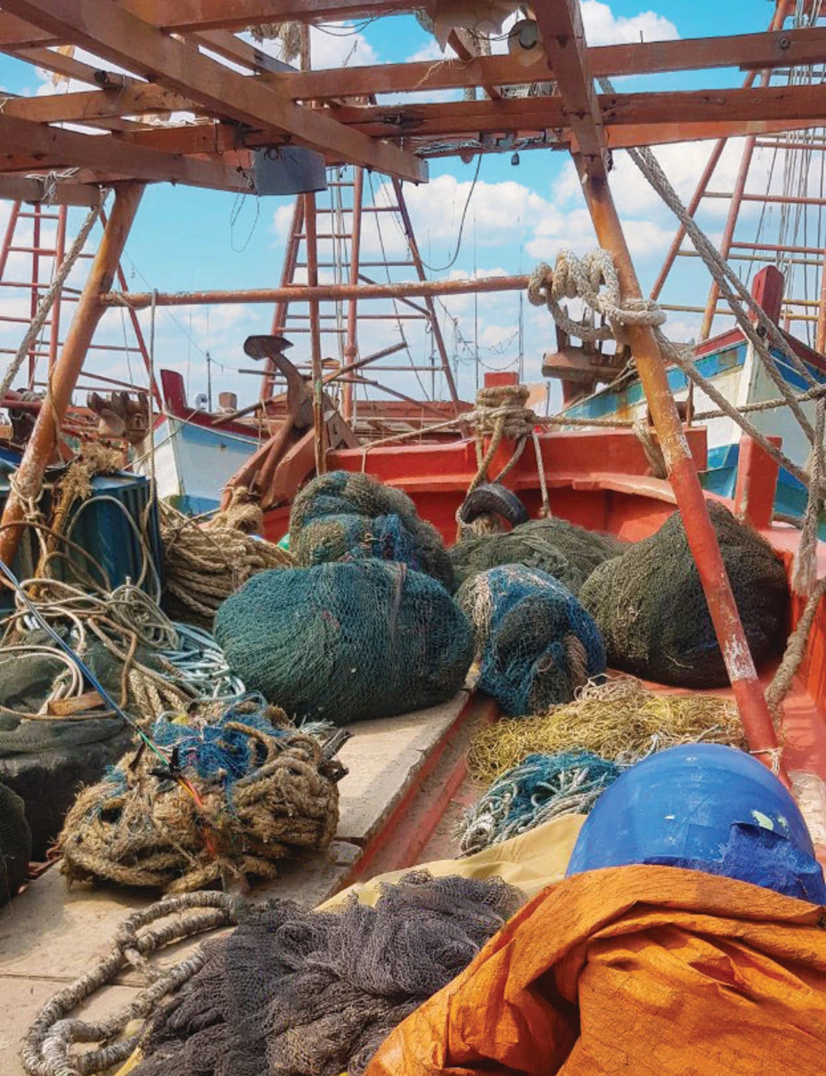 Imagem de contexto do artigo Novos sacos solidários do Lidl ajudam a restaurar a natureza em Portugal