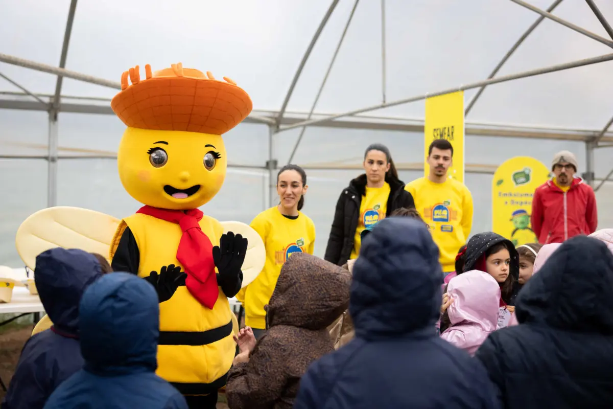 Imagem de contexto do artigo Turma Imbatível do Lidl promove literacia alimentar junto de crianças do 1.º Ciclo