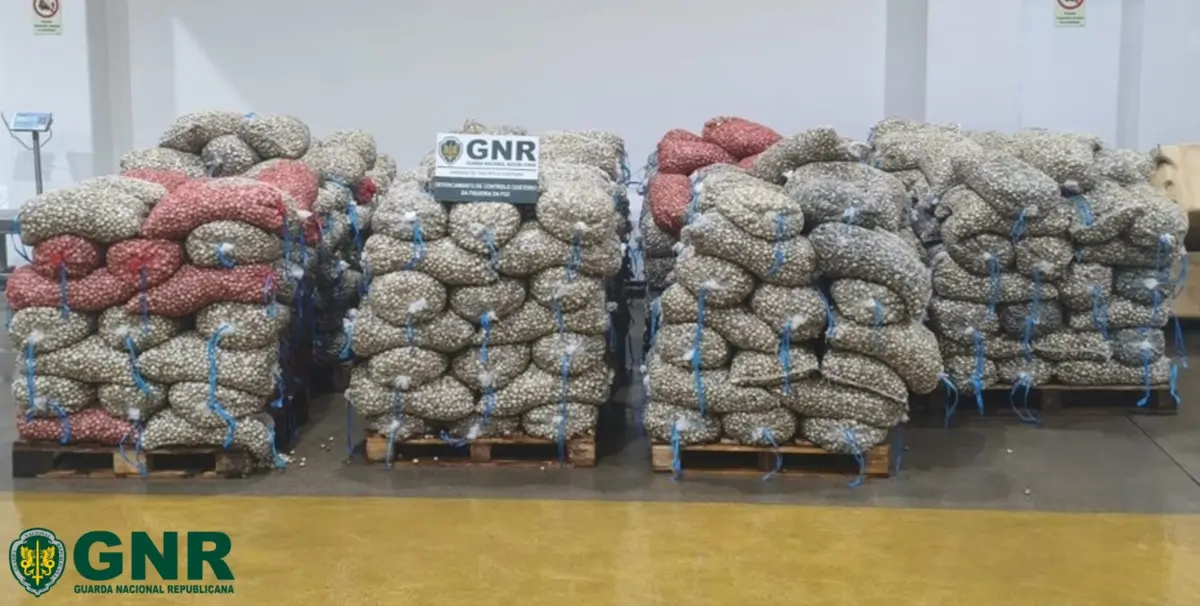 Produto apreendido pela GNR estava no interior de camião em Estarreja