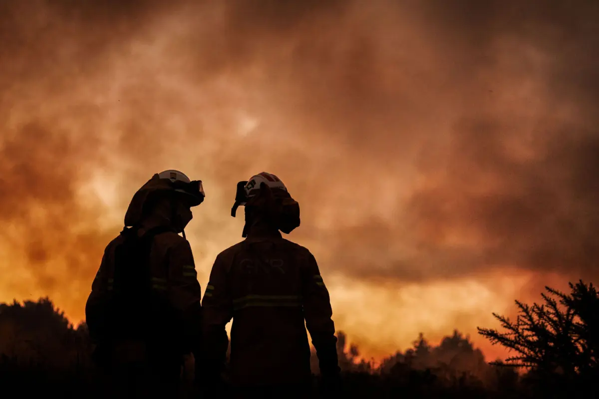 Imagem de contexto do artigo Incêndio no Parque de Montesinho em Bragança entrou em resolução