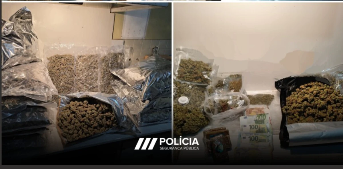 Policia apreendeu cerca de 26 quilos de droga e deteve três homens
