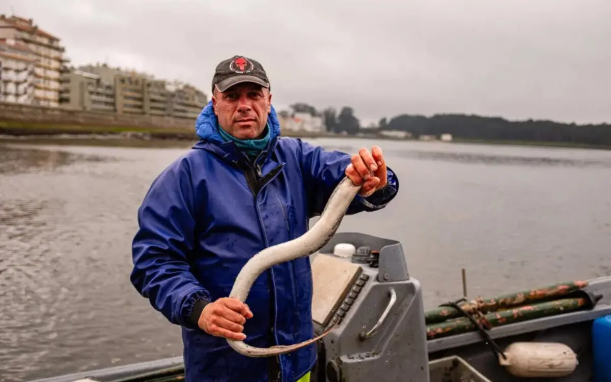 Pescadores dizem que uma das causas para a escassez é o assoreamento do rio Minho