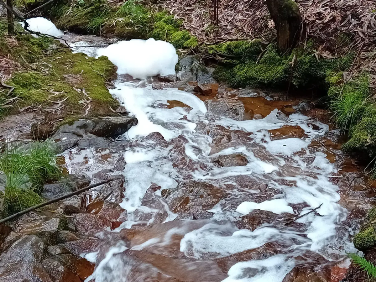 Imagem de contexto do artigo Descargas poluentes enchem rio de espuma branca em Santo Tirso