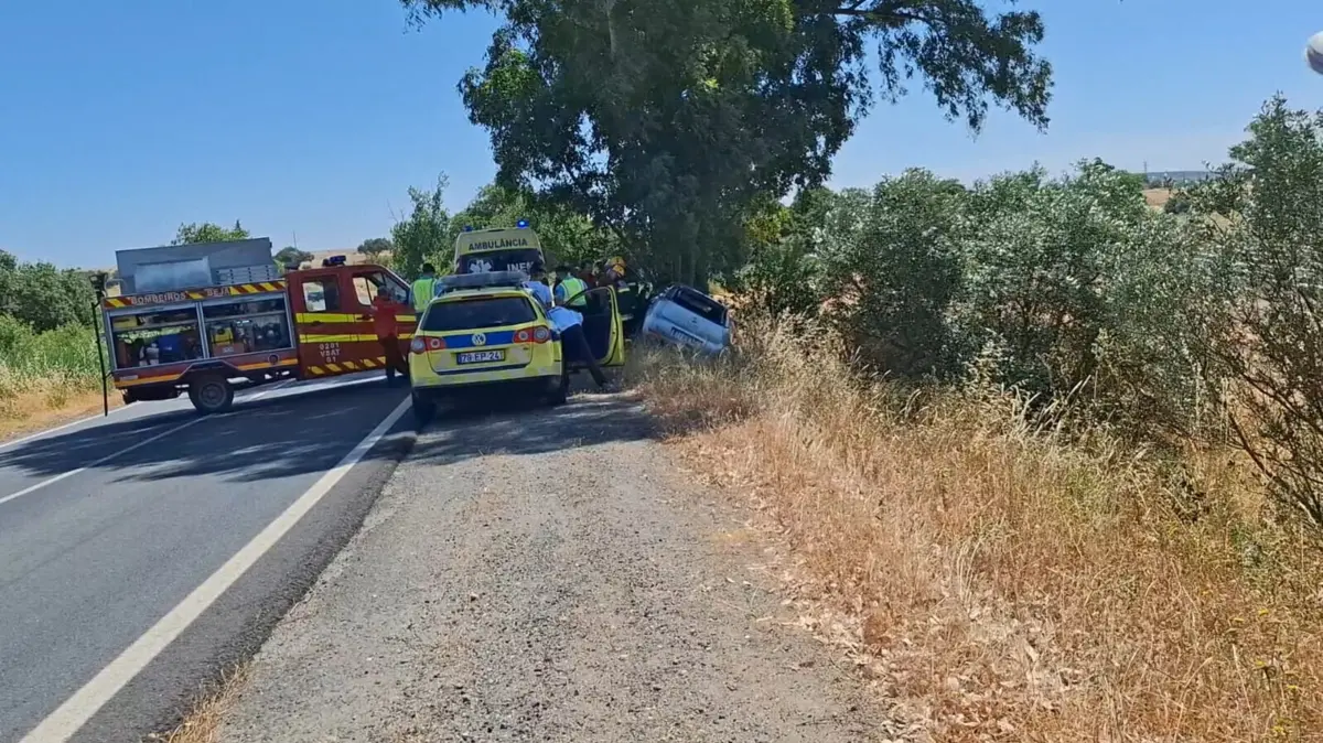 Imagem de contexto do artigo Idosa e filho morrem após despiste contra eucalipto em Beja