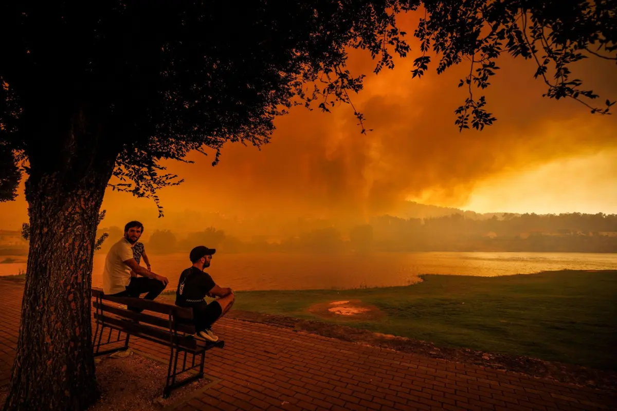 Imagens desoladoras devido aos grandes incêndios registados este mês de agosto no norte e centro do país
