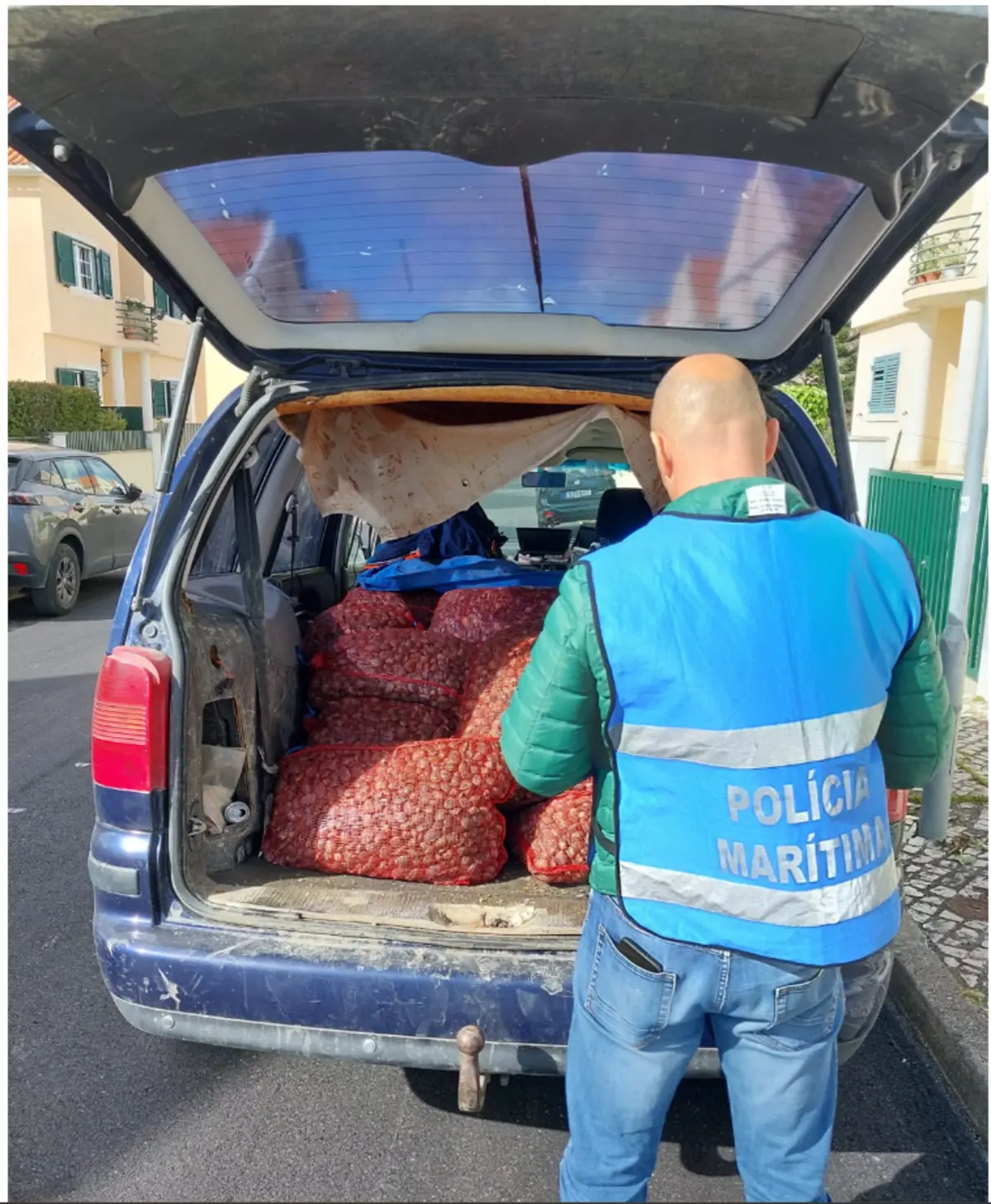 Polícia Marítima apreendeu 916 quilos de amêijoa-japónica