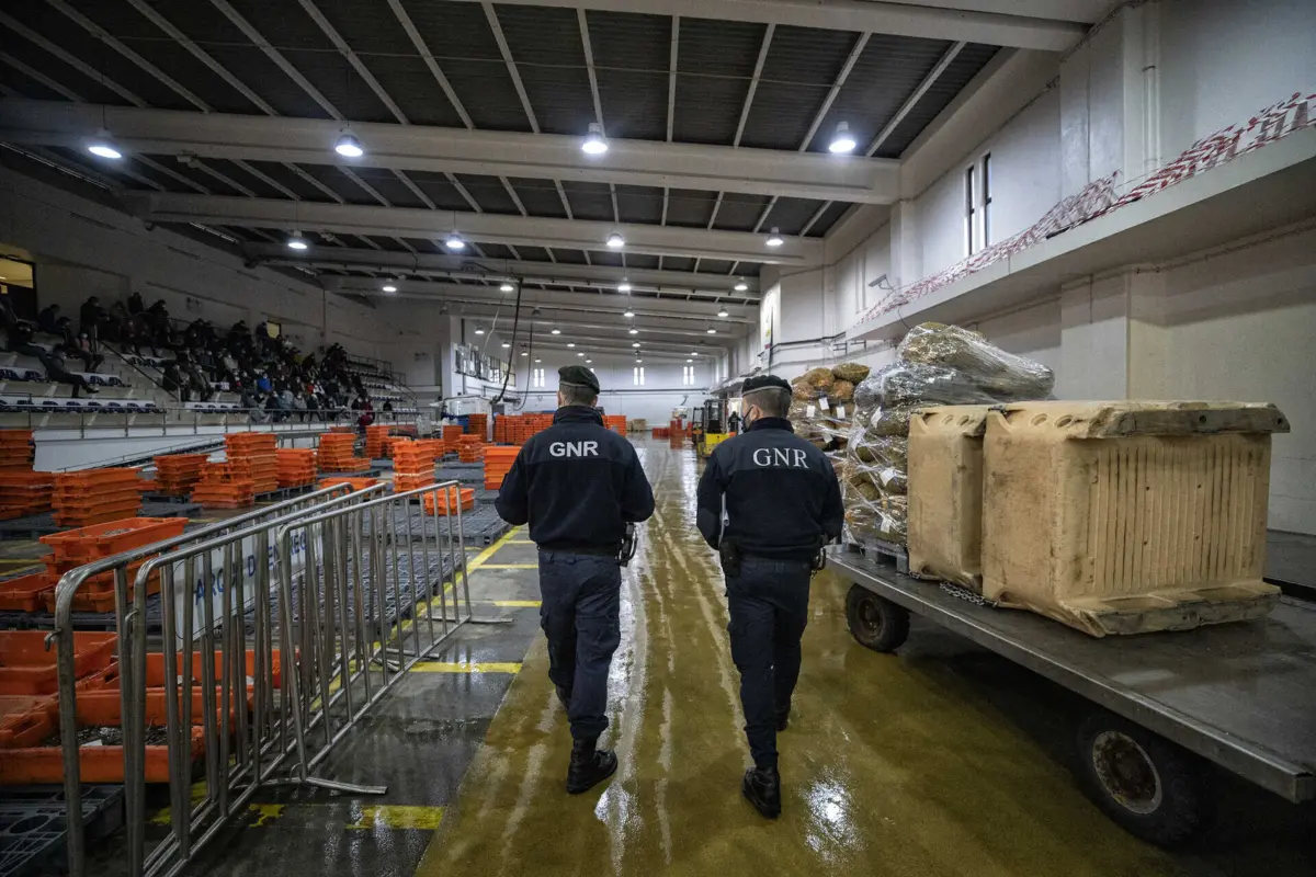 Funcionários transferiram dadps de embarcações de arrasto para cinco armadores de pesca local