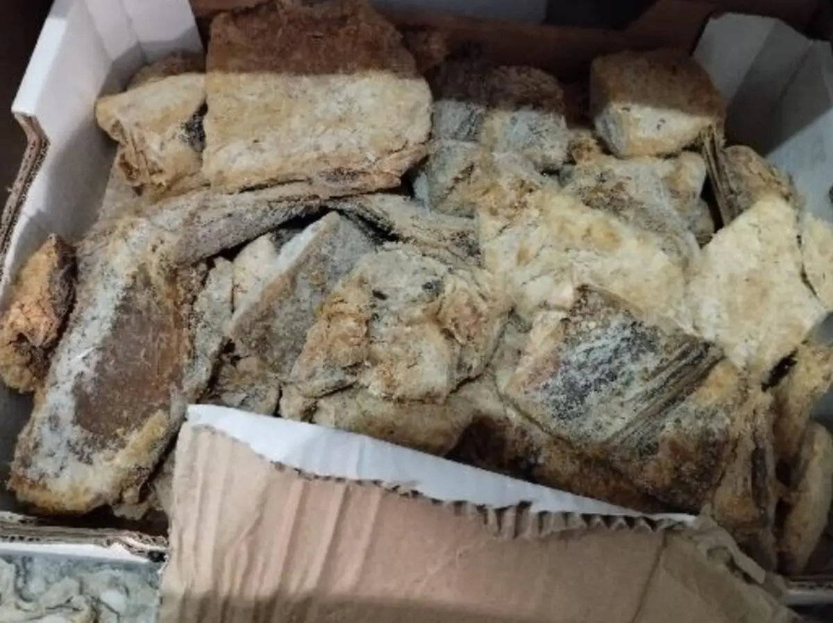 Alguns dos produtos apreendidos