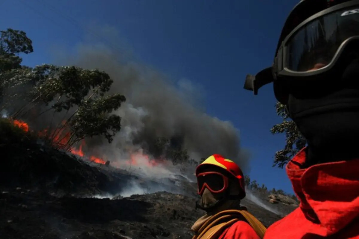 Incêndio obrigou a cortar autoestrada