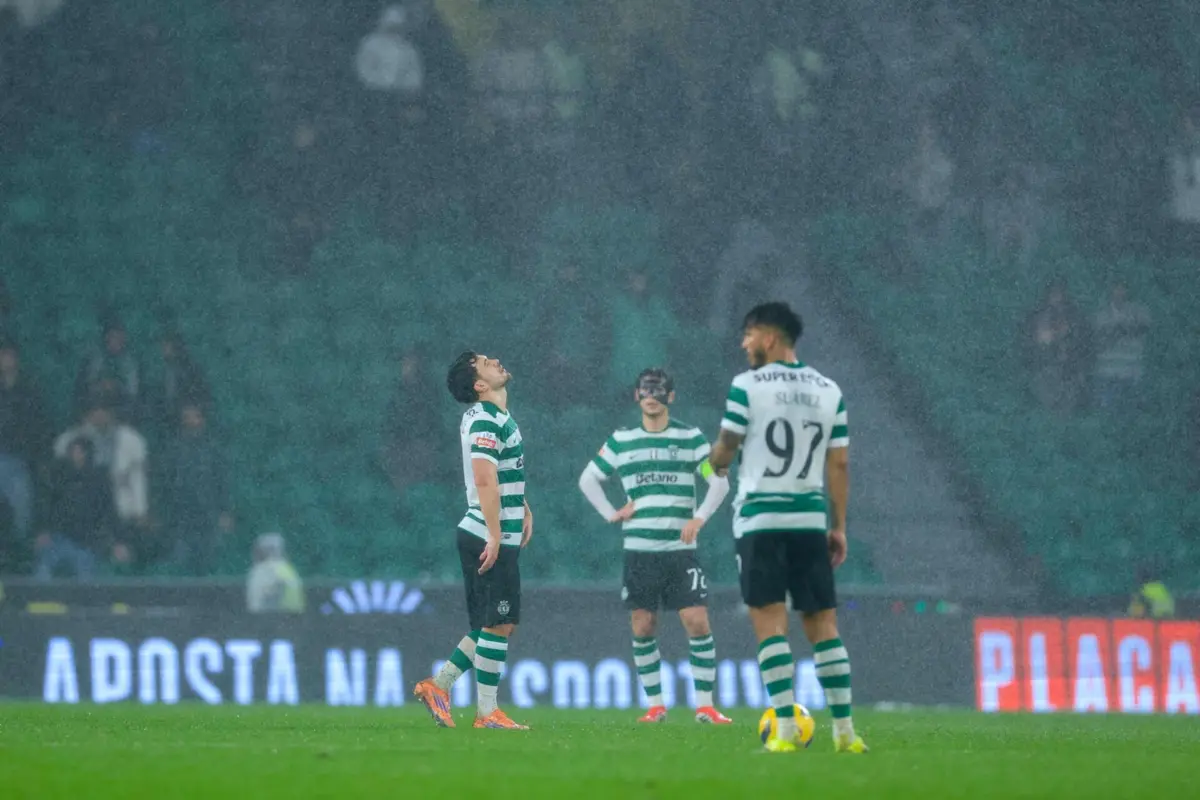 Leões defrontam AVS