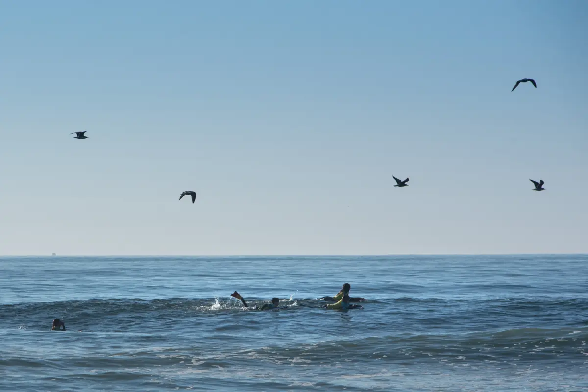A vítima estava a frequentar uma aula da modalidade