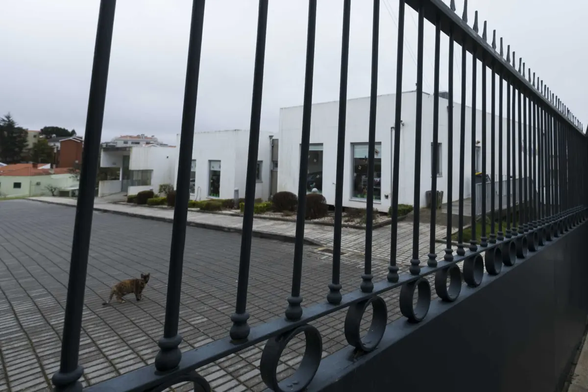 Tribunal da Relação do Porto condenou responsáveis de lar por maus-tratos a idosos
