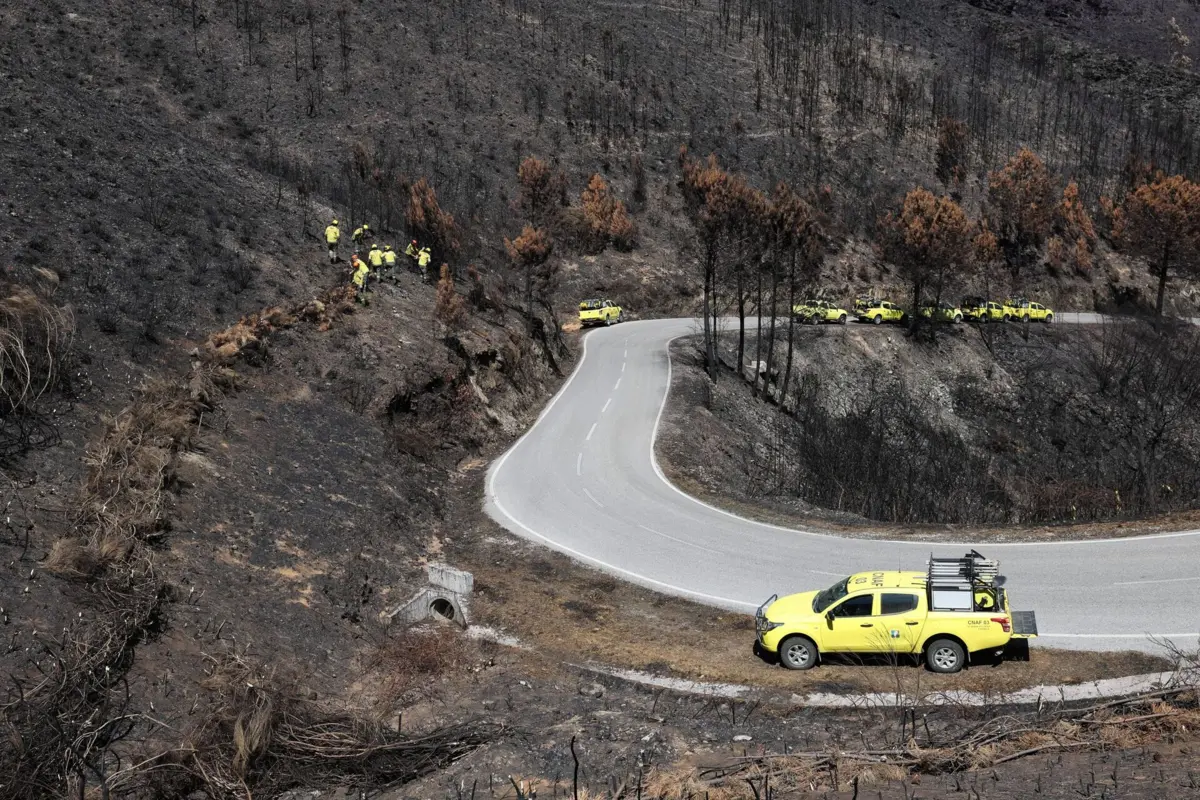 Imagem de contexto do artigo Proteção Civil alerta para medidas preventivas nas áreas ardidas devido à chuva