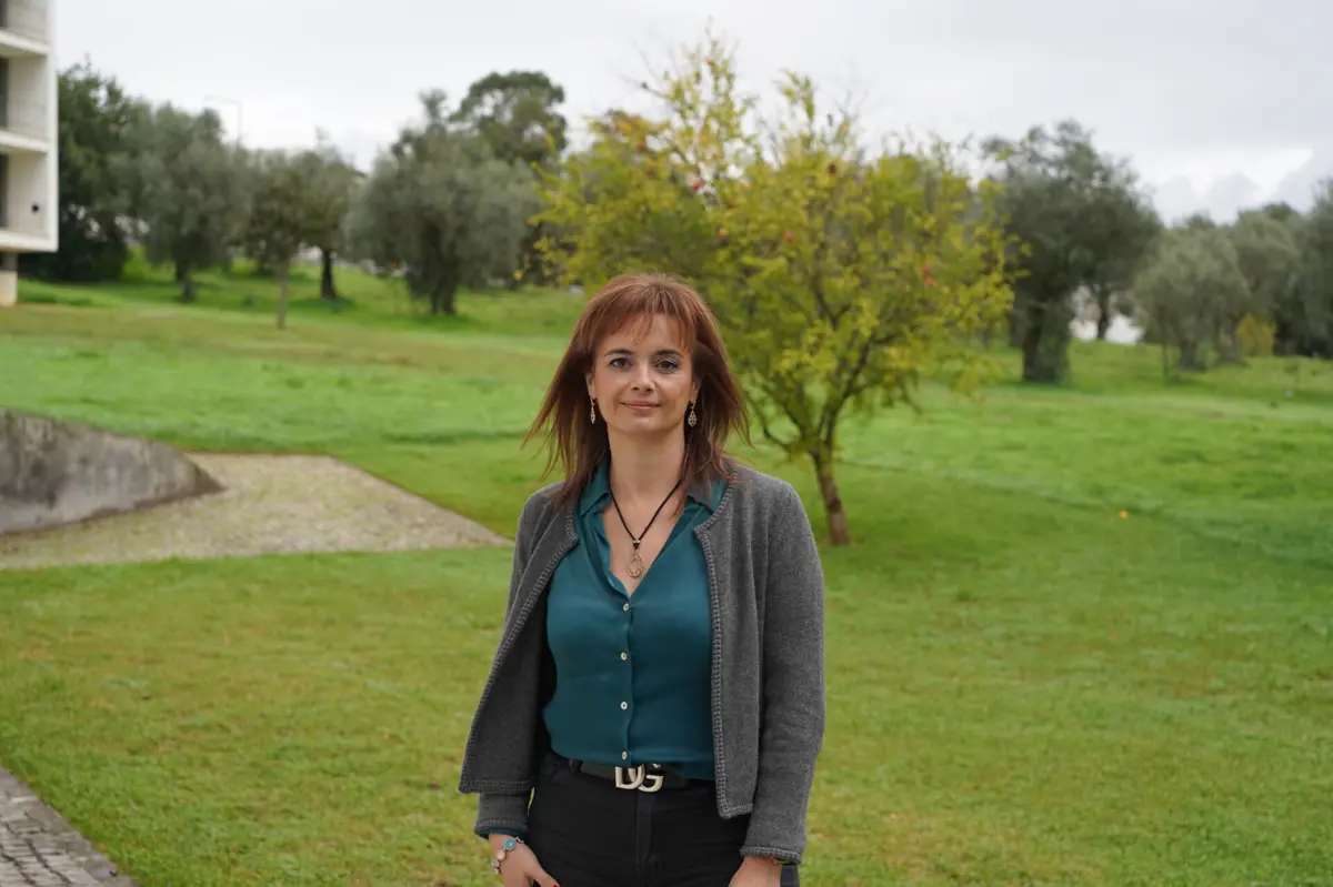 Os ensaios em curso “têm demonstrado a eficácia antiviral de vários compostos extraídos”