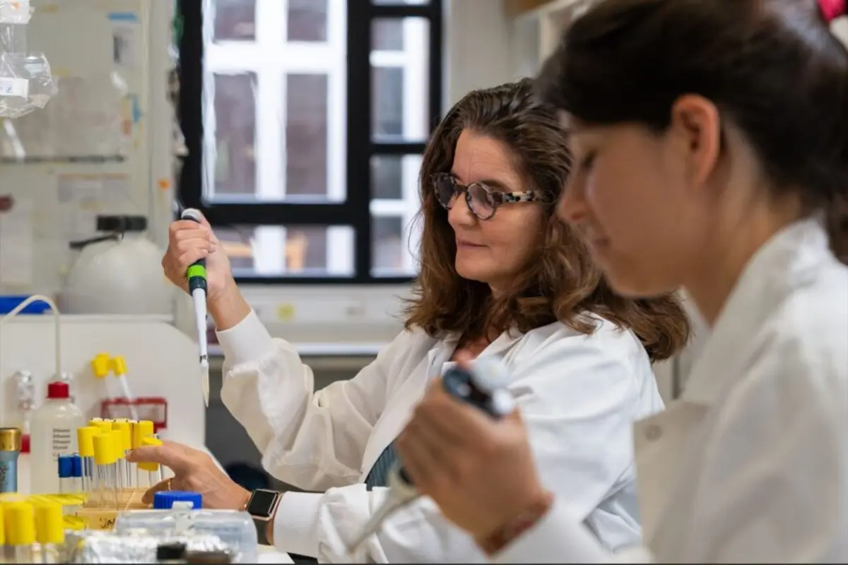 Imagem de contexto do artigo Cientistas identificam bactéria que reduz inflamação intestinal e trava infeção