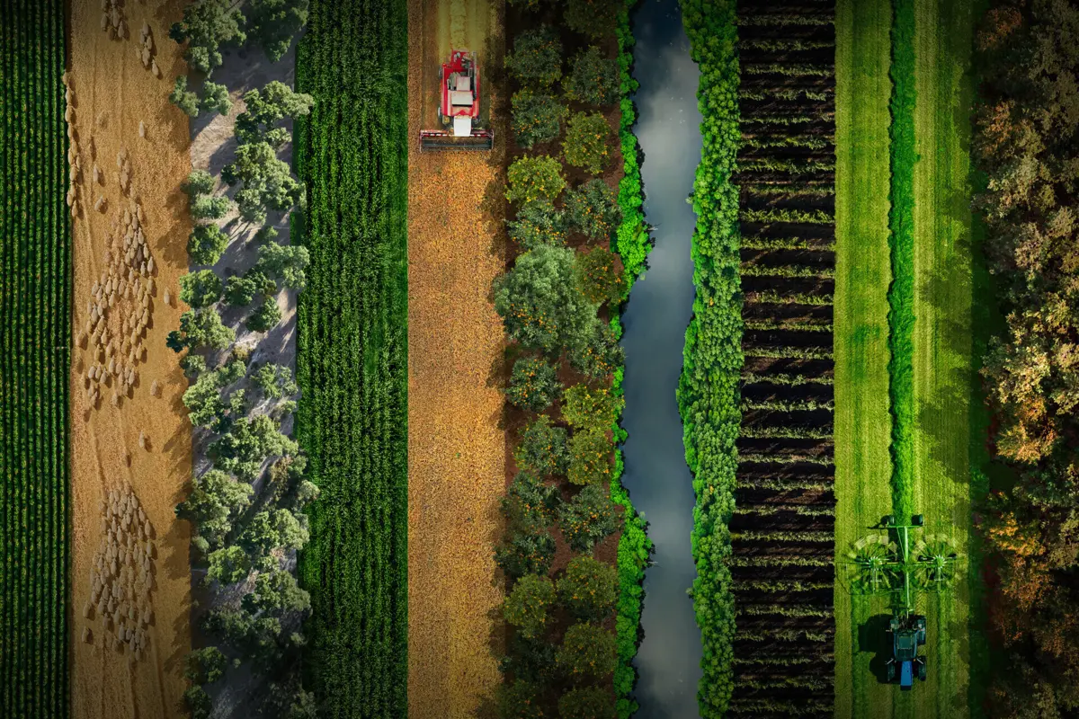 Imagem de contexto do artigo Agroglobal volta a trazer o debate agrícola a Santarém