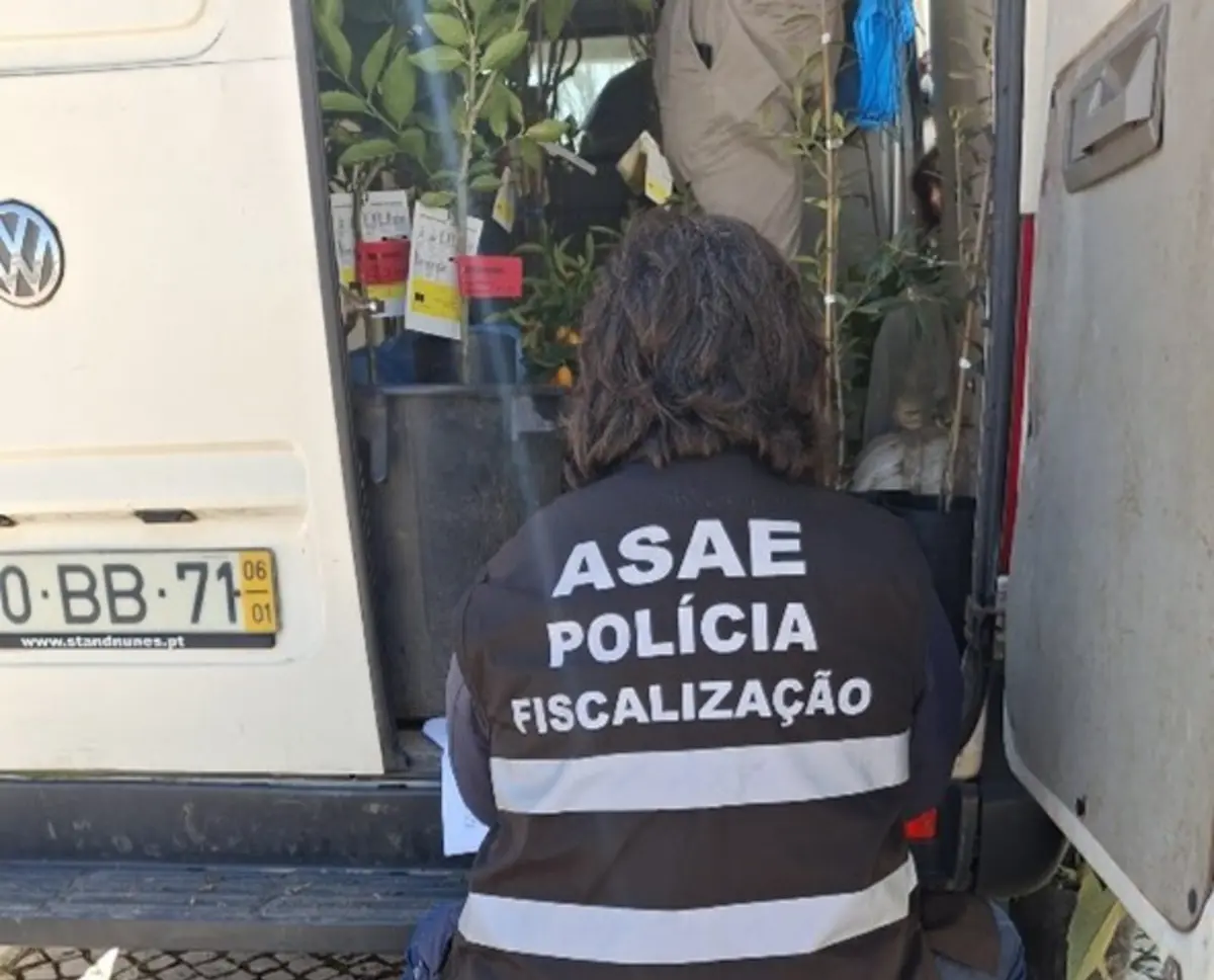 A ASAE apreendeu 177 plantas no valor de 1400 euros