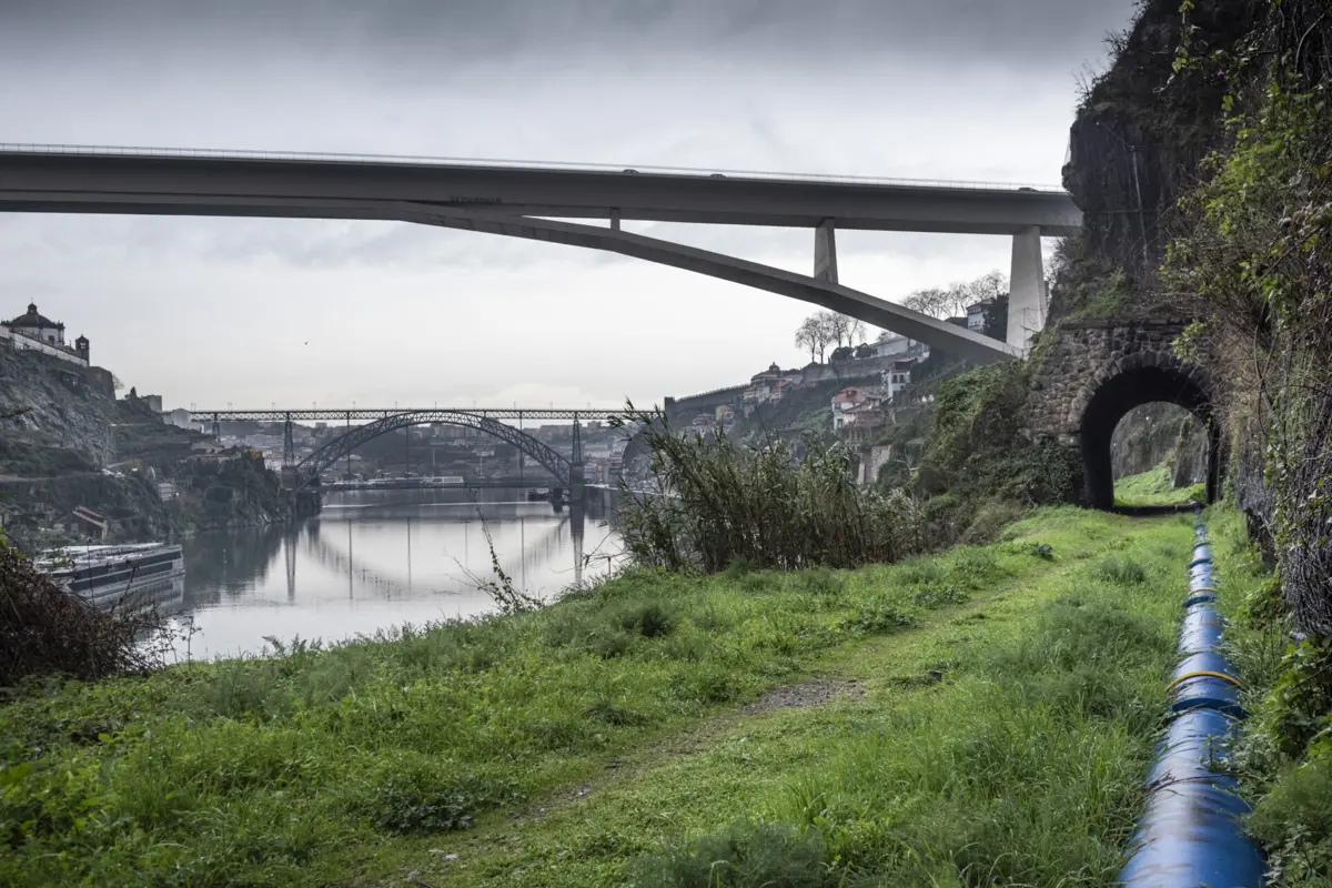 Ramal da Alfândega, no Porto, servirá transporte público