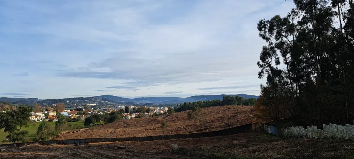 Mata fica perto do centro da cidade de Famalicão