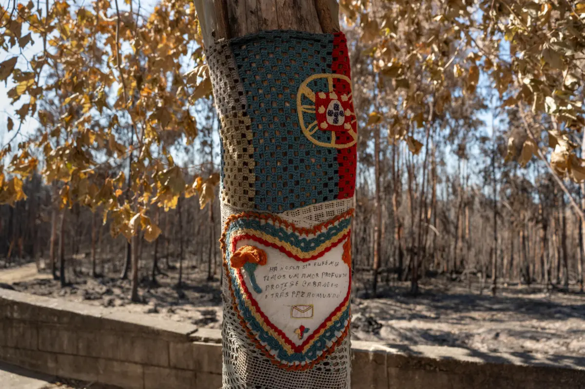 Imagem de contexto do artigo Emigrantes afetados pelos incêndios em Portugal podem receber indemnizações