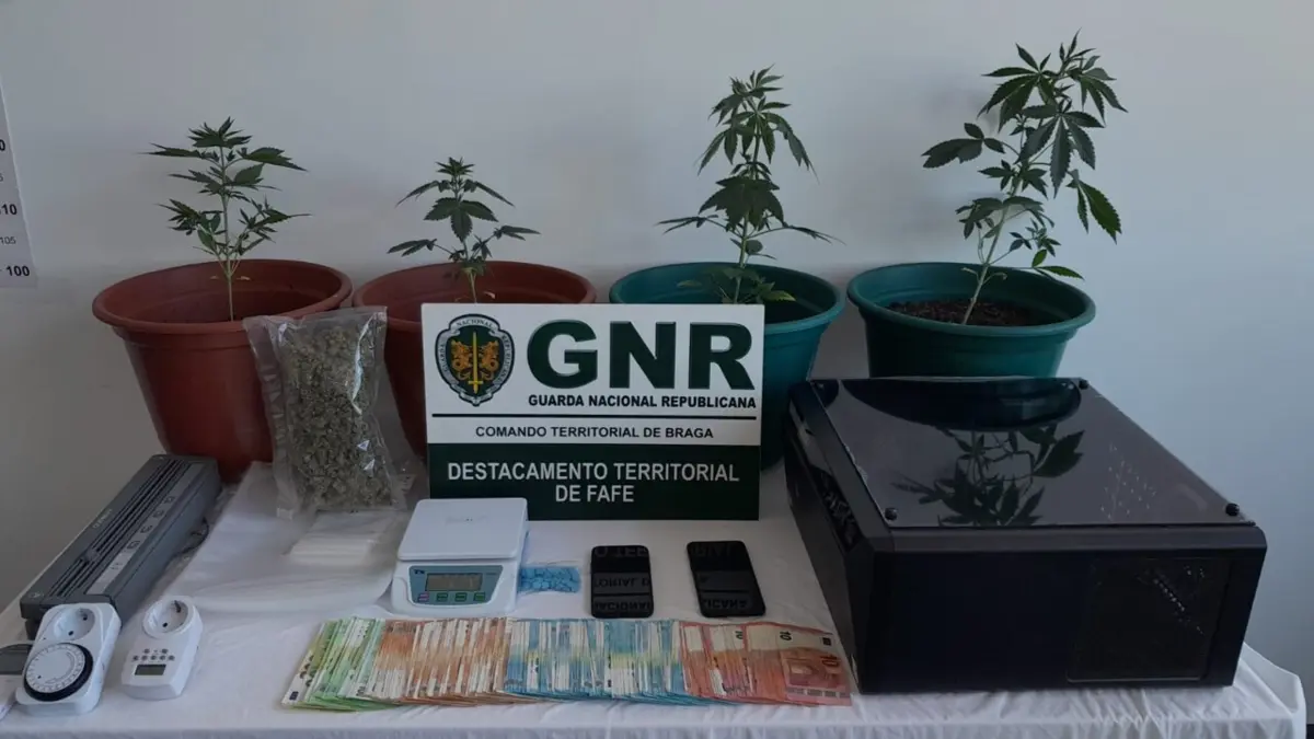 Material apreendido pela GNR a traficante de droga, em Cabeceiras de Basto