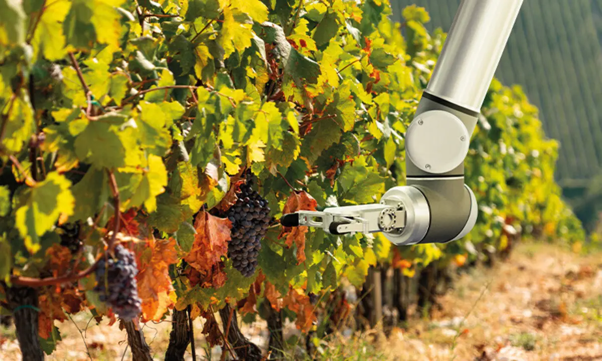 Imagem de contexto do artigo Quer dinamizar o Interior? O Programa Promove tem milhões para distribuir e apoiar os melhores projetos