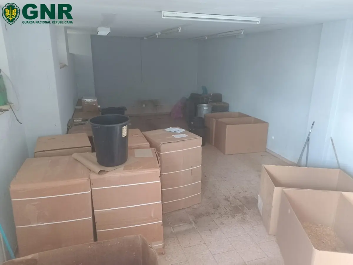 Para dificultar a deteção das autoridades, os locais de armazenamento eram utilizados apenas durante dois a três dias, sendo depois rapidamente desativados