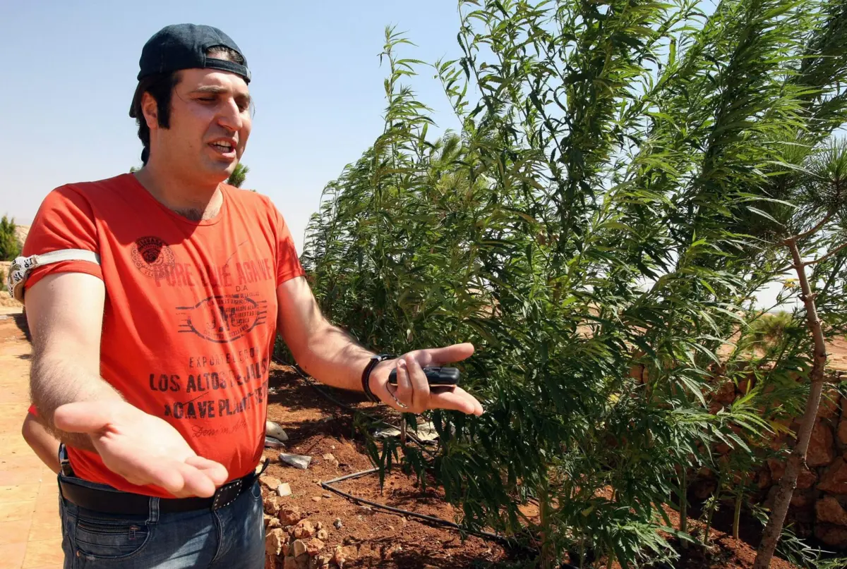 Imagem de contexto do artigo Detido Nouh Zaiter, o maior narcotraficante do Líbano