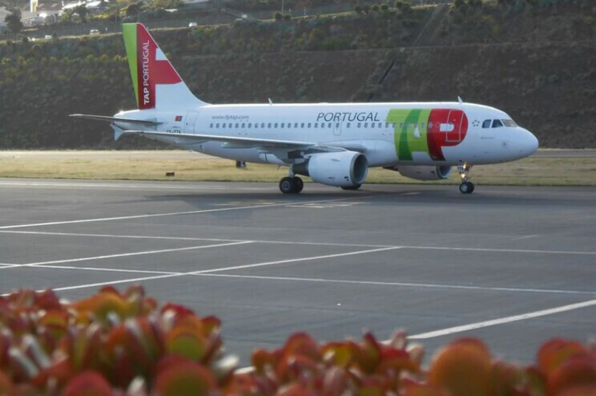 Diploma do processo de privatização da TAP será publicado no verão