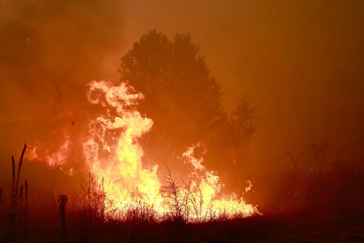 Imagem de contexto do artigo Fogo obrigou à retirada de pessoas em Lagos