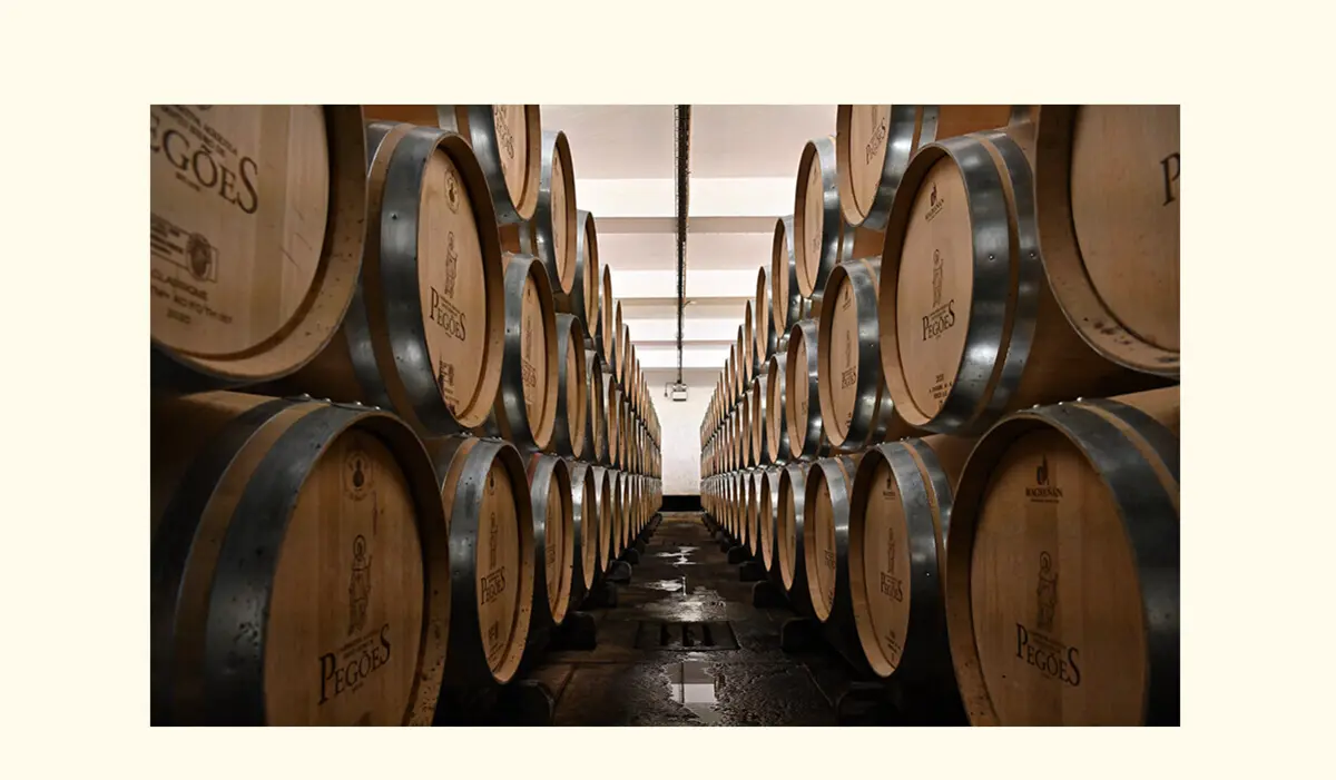 Imagem de contexto do artigo Vinhos Adega de Pegões: nascidos em Portugal, premiados além-fronteiras