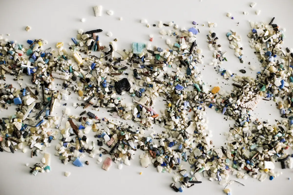 Startup apresentou, no Nexxt Leira, projeto para retirar microplásticos da água