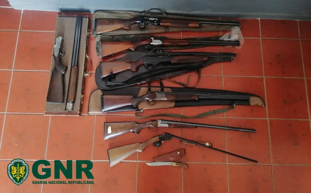 Foram apreendidas sete armas de fogo