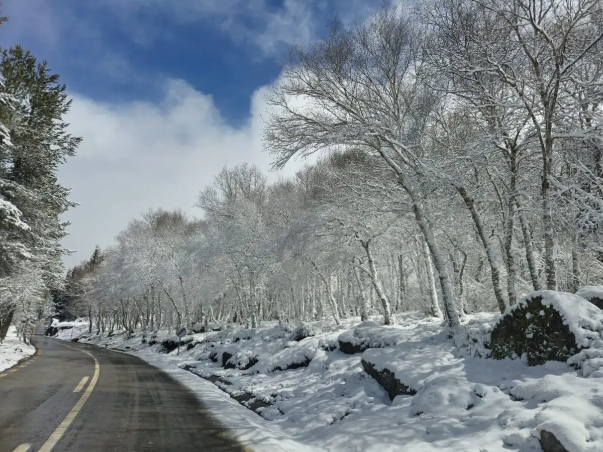 IPMA prevê para esta sexta-feira queda de neve acima de 1400 metros de altitude