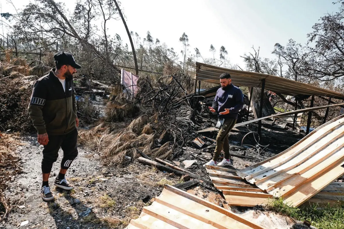 Fernando e Mariano voltam ao pinhal onde as barracas ficaram destruídas